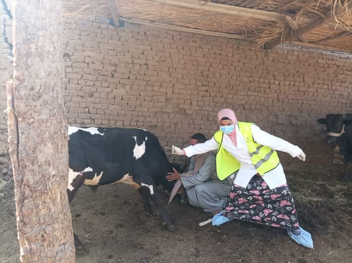 قافلة طبية بيطرية بادفو